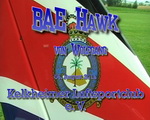 BAE Hawk