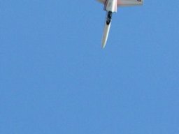 Flugtage