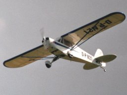 Flugtage