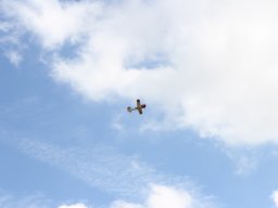 Flugtage