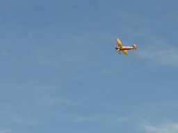 Flugtage
