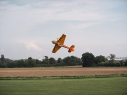 Flugtage