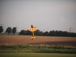 Flugtage