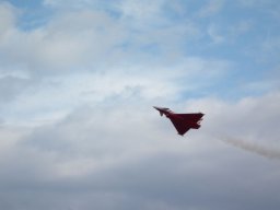 Flugtage