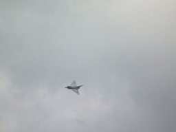 Flugtage