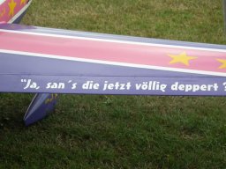Flugtage