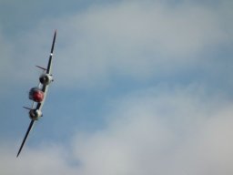 Flugtage