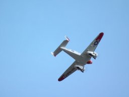 Flugtage