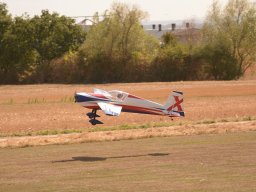 Flugtage