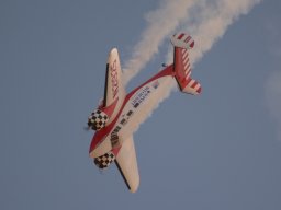 Flugtage