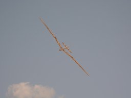 Flugtage