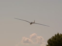 Flugtage