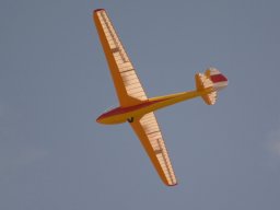 Flugtage