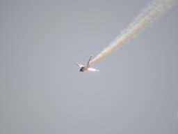 Flugtage