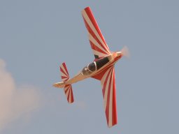 Flugtage