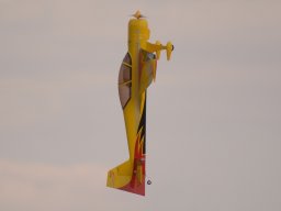 Flugtage
