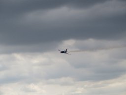 Flugtage