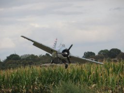 Flugtage