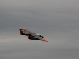 Flugtage