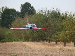 Flugtage