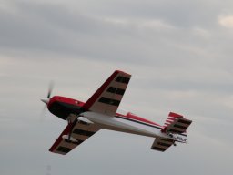 Flugtage