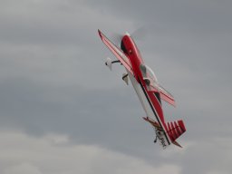 Flugtage