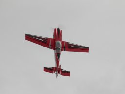 Flugtage