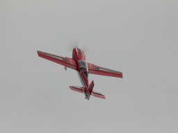 Flugtage