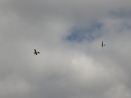 Flugtage