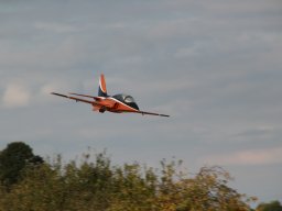 Flugtage