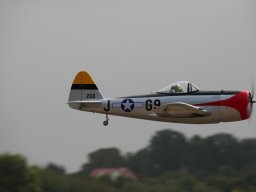 Flugtage