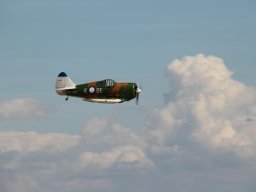 Flugtage