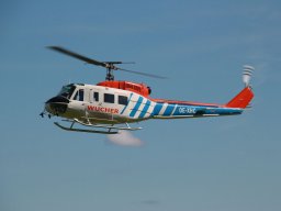 Flugtage