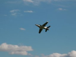 Flugtage