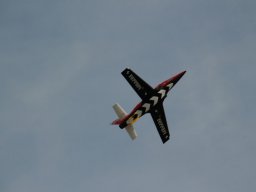 Flugtage