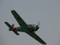 Flugtage