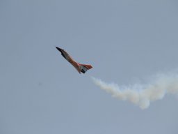 Flugtage