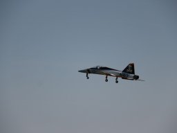 Flugtage