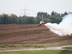 Flugtage