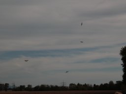 Flugtage - 2026