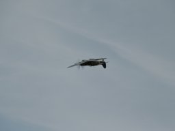 Flugtage - 2026